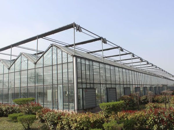 VENLO型、尖顶型玻璃连栋温室