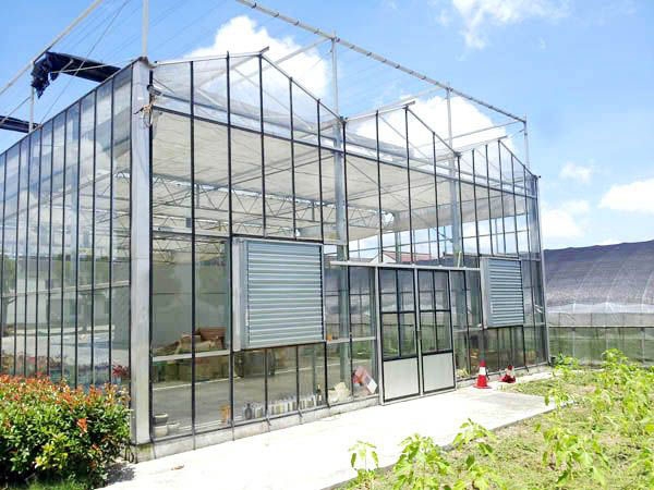 VENLO型、尖顶型玻璃连栋温室